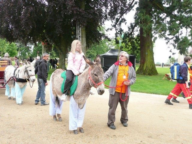 rodho 2013 (62).jpg